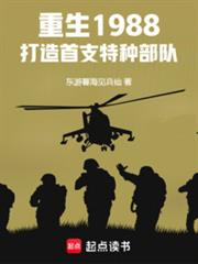 ����1988��������֧���ֲ���