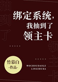 绑定系统,抽到了领主卡