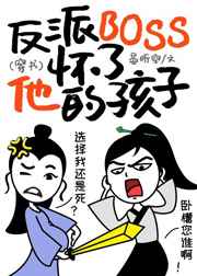 ����BOSS�������ĺ���[����]