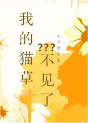 �ҵ�è�ݲ�����