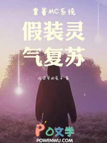 ����MCϵͳ��װ��������